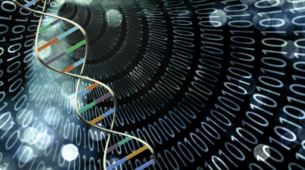 Beyond Silicon: Harnessing DNA as a Computer